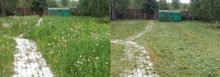 Покос травы на участках в Могилеве