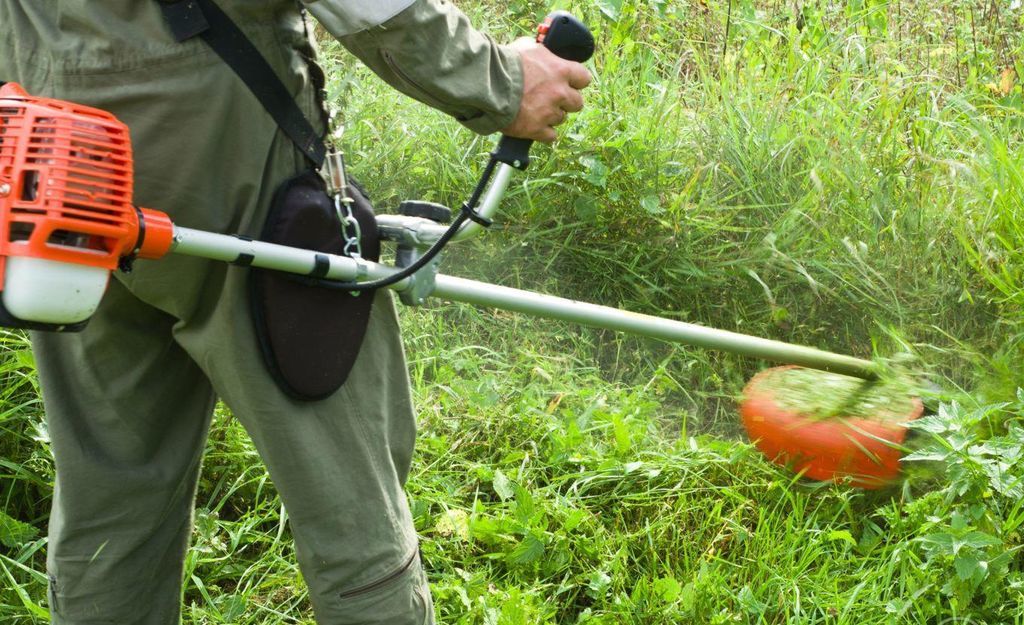 Покос травы в Могилеве